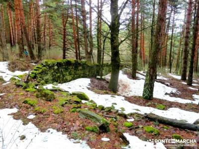 Chorro o Chorrera de San Mamés; viajes semana santa; pueblos sierra norte madrid;hoces duraton